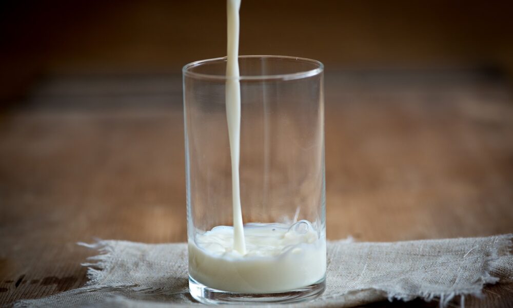Le lait est-il vraiment bon pour renforcer les os ?